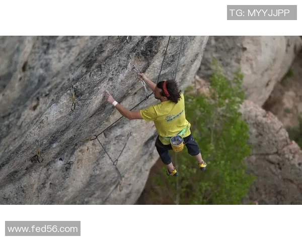杭州攀岩队中路突破革新探索新战术与训练模式的深度分析