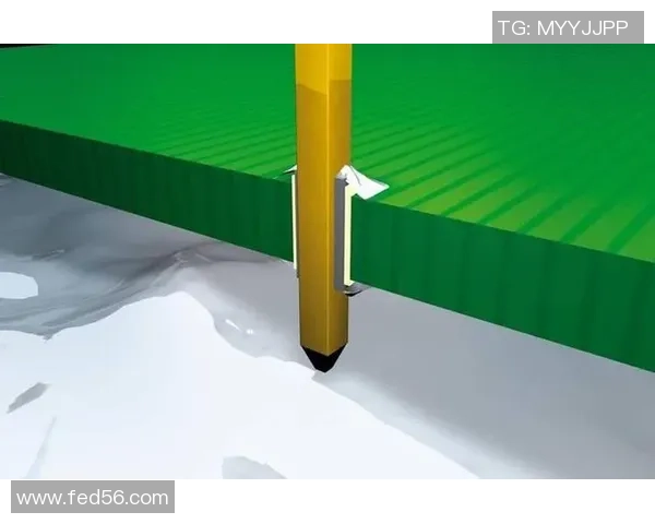 滑板新手必看：从基础到进阶的全面意识提升指南