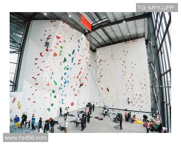 武汉攀岩队引领最新攀岩技术十强榜单解析与展望