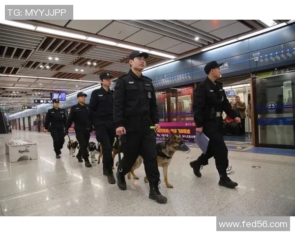 西安飞盘队运营分析与发展经验分享探讨