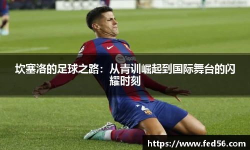 6163银河net163